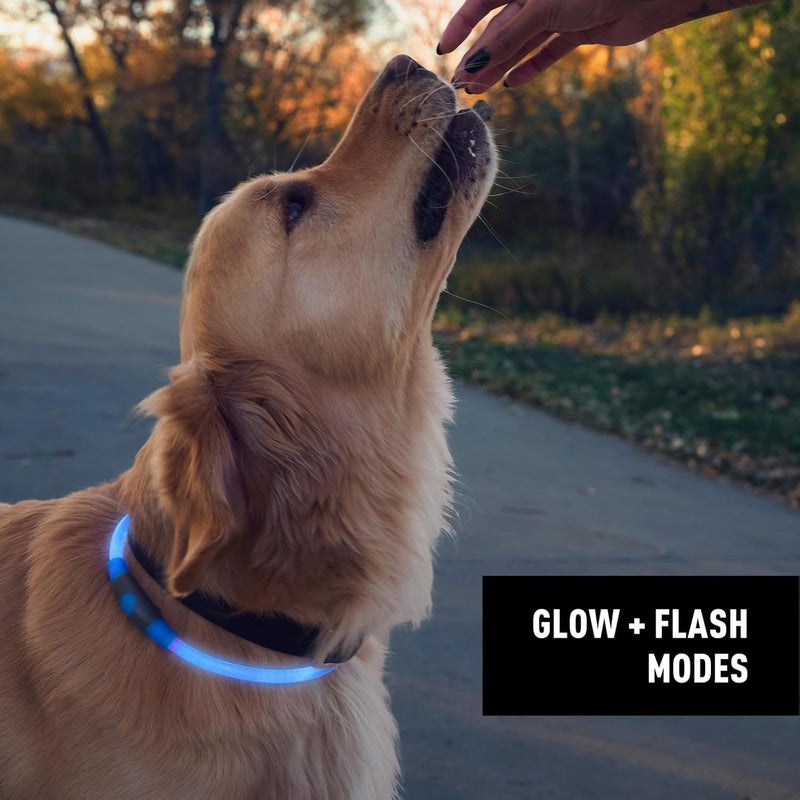 NiteIze NiteHowl Rechargeable LED Safety Necklace - Dog Light for Dog-Walking Gear - Weather-Resistant Design - 5 Hours Runtime - Cut to Fit from 12” to 27” - Blue - Image 5